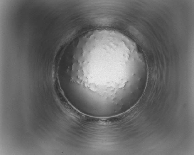 X0000070230494200606091721