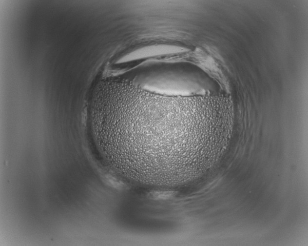 X0000070230495200606091721