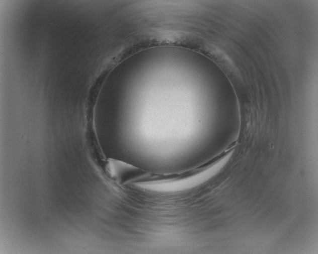 X0000070230496200606091721