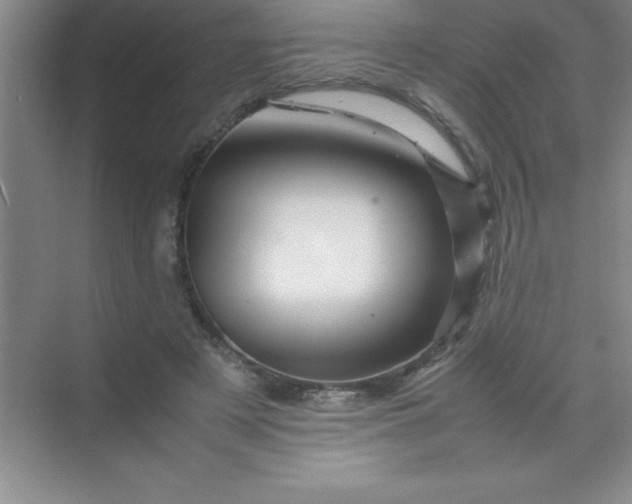 X0000070230497200606091721