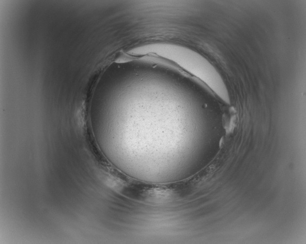 X0000070230498200606091721