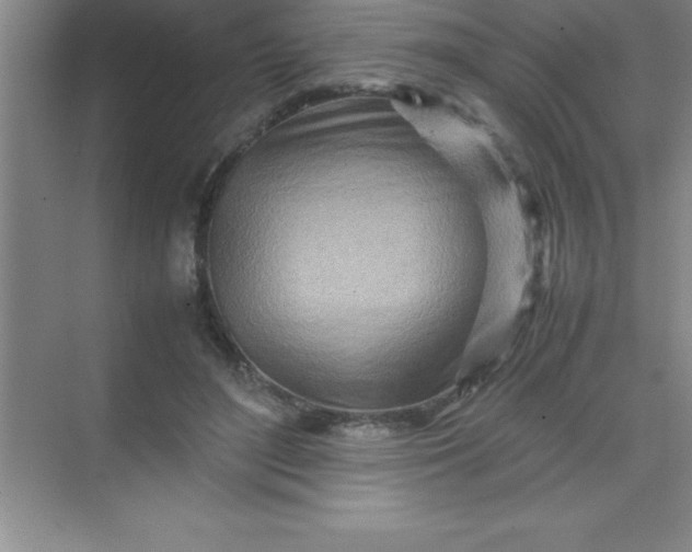 X0000070230500200606091721