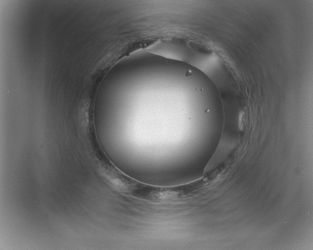 X0000070230501200606091721