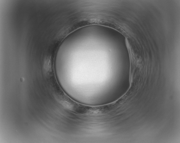 X0000070230502200606091721