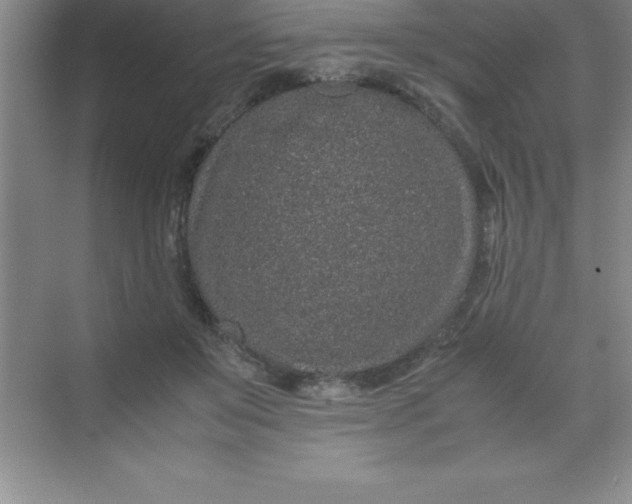 X0000070230503200606091721