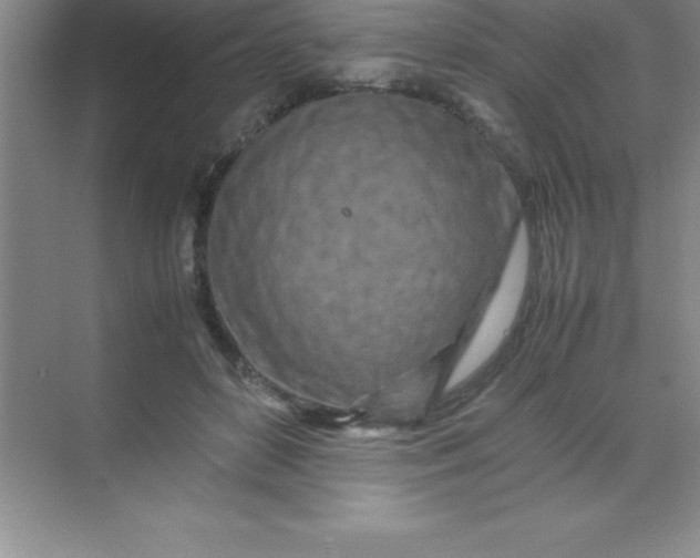 X0000070230504200606091721