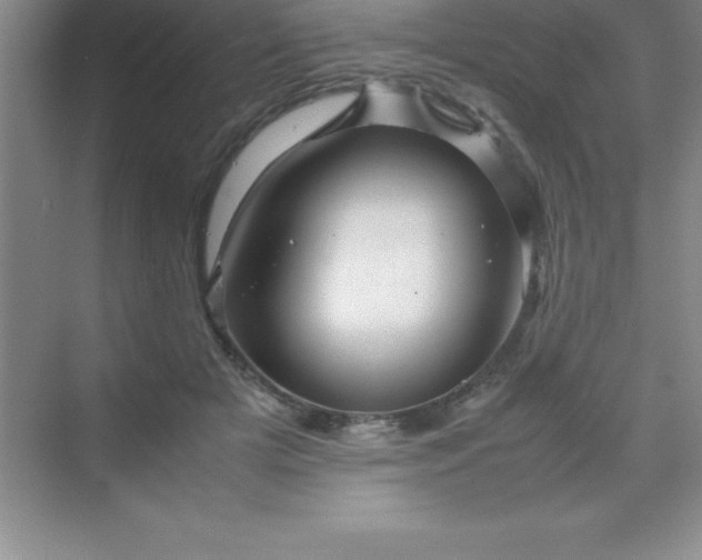 X0000070230505200606091720