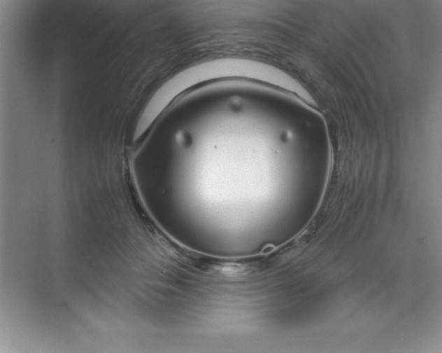 X0000070230506200606091720