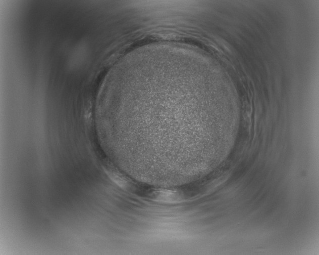 X0000070230507200606091720