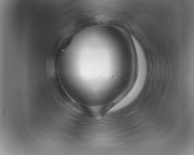 X0000070230508200606091720