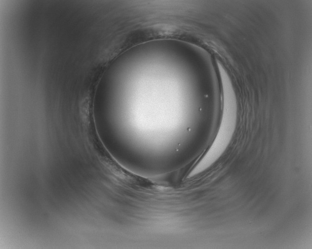 X0000070230509200606091720