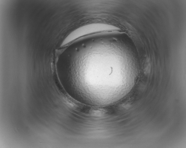 X0000070230510200606091720