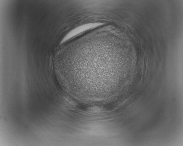 X0000070230511200606091720