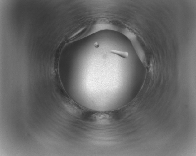 X0000070230512200606091720