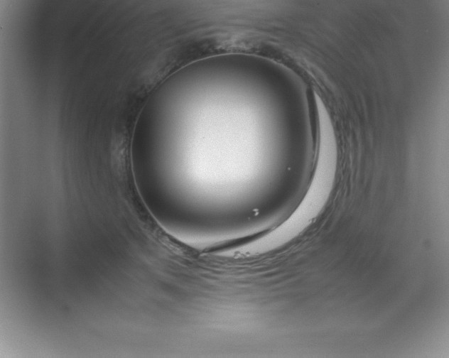 X0000070230513200606091720