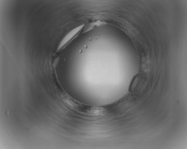 X0000070230514200606091720