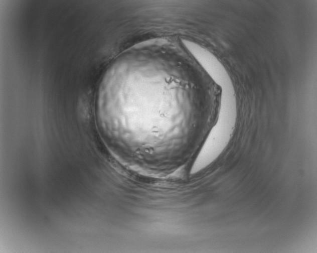 X0000070230515200606091720