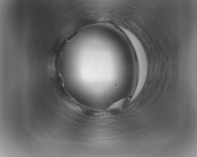 X0000070230516200606091720