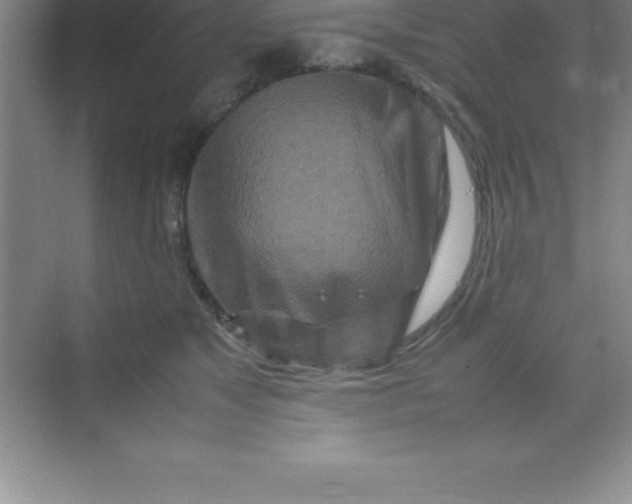 X0000070230517200606091720