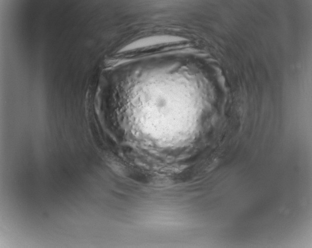 X0000070230519200606091720