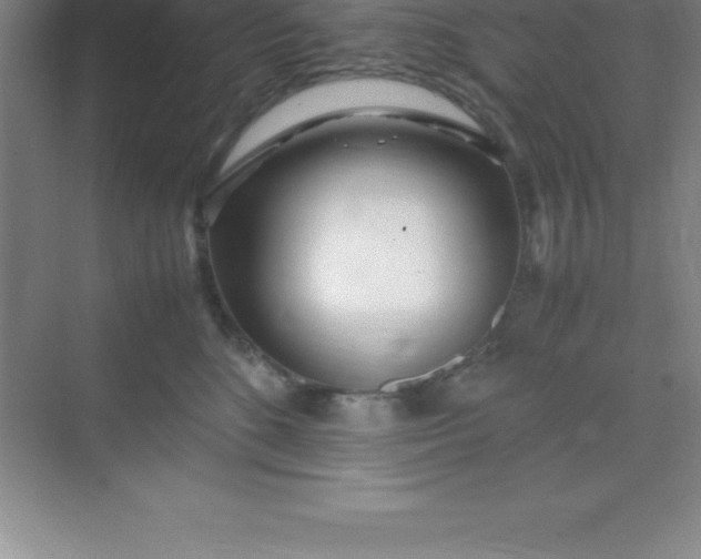 X0000070230520200606091720