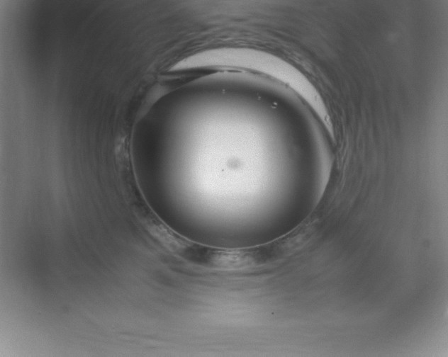 X0000070230521200606091720