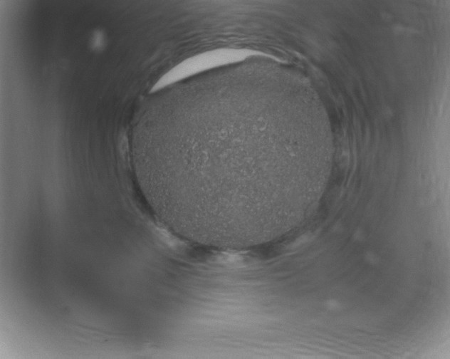 X0000070230523200606091720