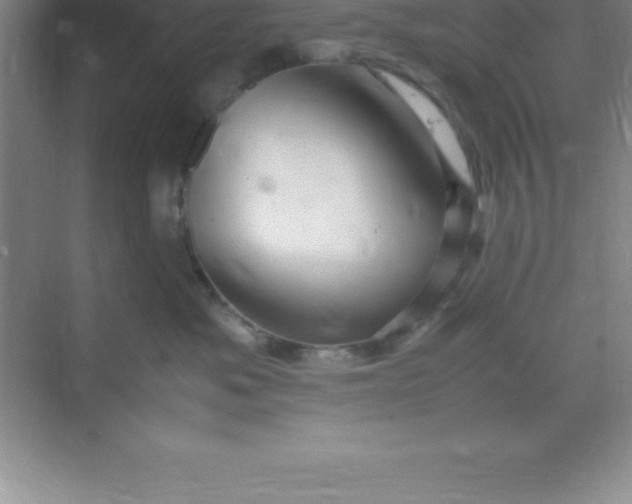 X0000070230525200606091720