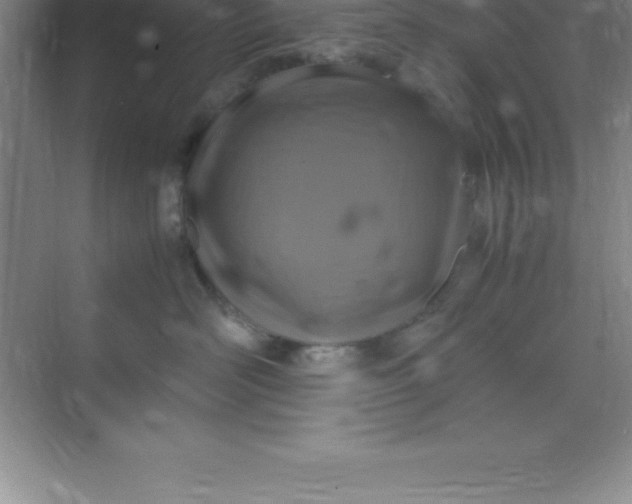 X0000070230526200606091720