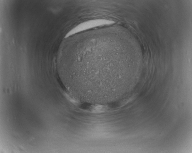 X0000070230527200606091720