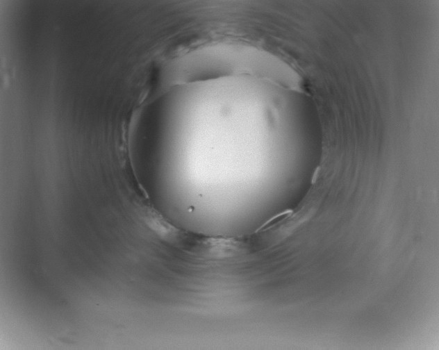 X0000070230528200606091720