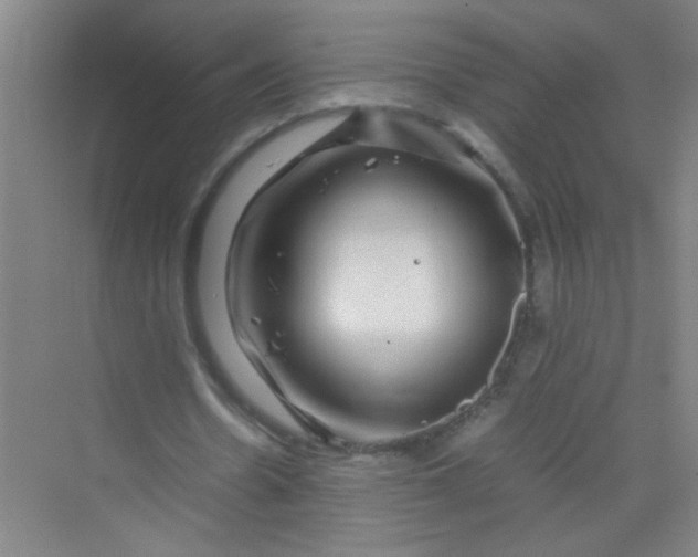 X0000070230530200606091719