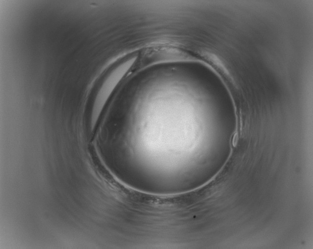 X0000070230531200606091719