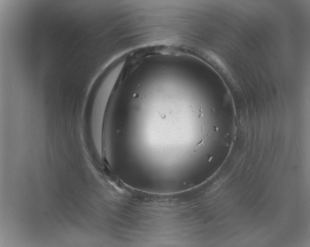 X0000070230532200606091719