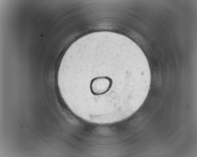 X0000070230534200606091719