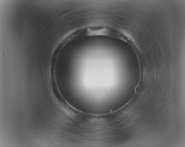 X0000070230535200606091719