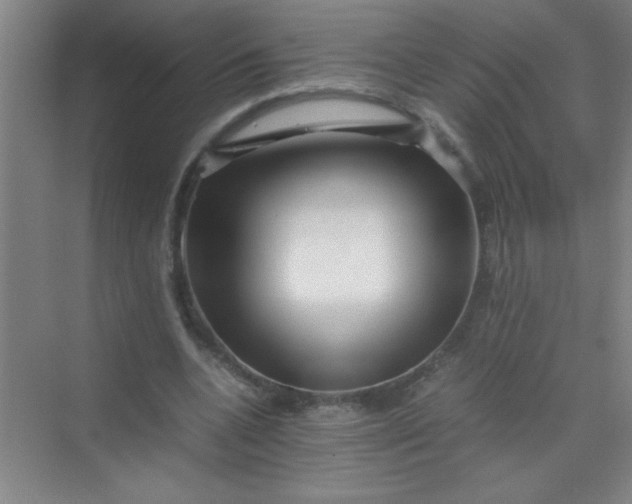 X0000070230536200606091719