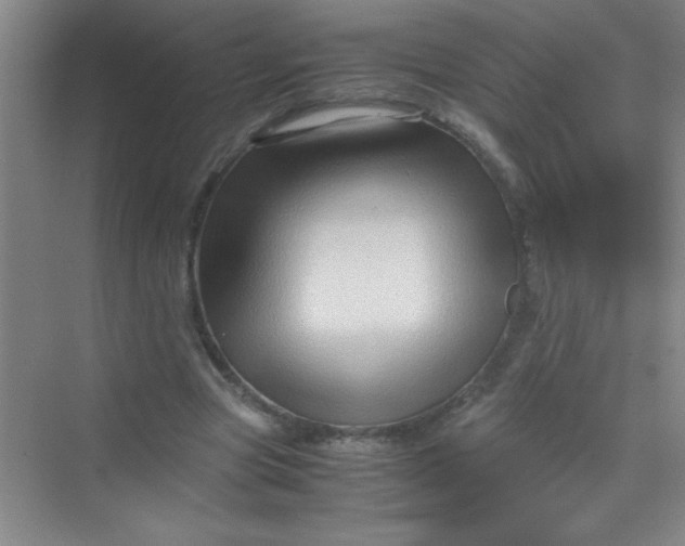 X0000070230537200606091719