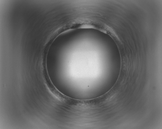 X0000070230538200606091719