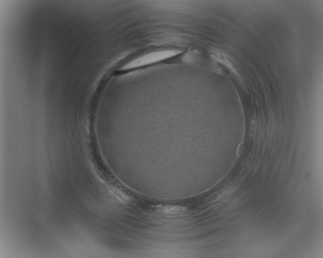 X0000070230539200606091719