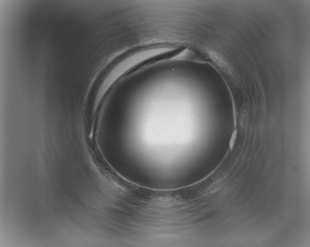 X0000070230540200606091719