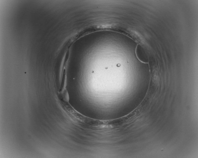 X0000070230543200606091720