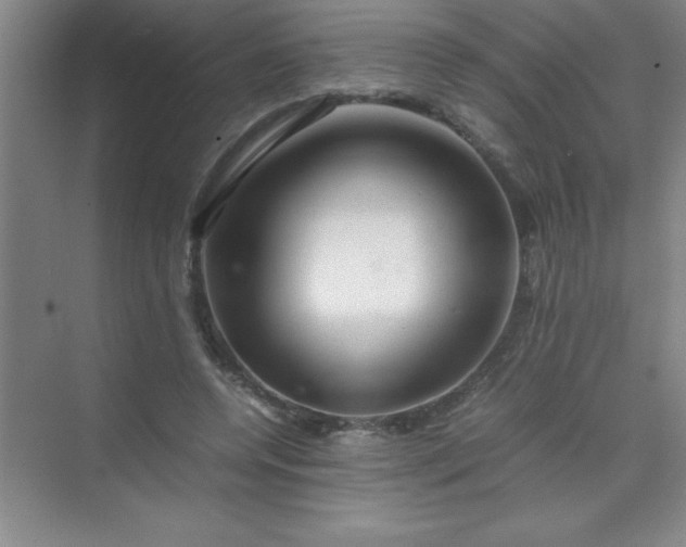 X0000070230544200606091720