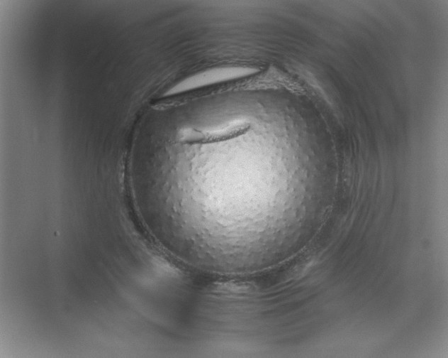 X0000070230545200606091720