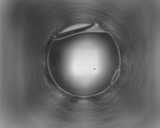 X0000070230547200606091720