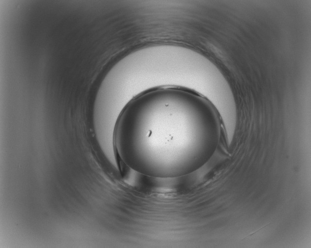 X0000070230548200606091720