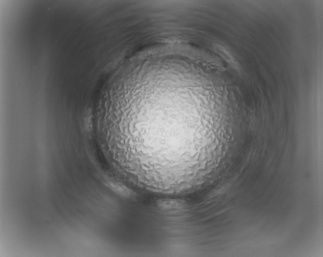 X0000070230549200606091720