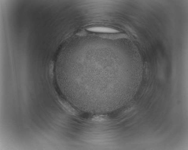 X0000070230550200606091720