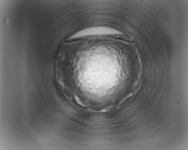 X0000070230551200606091720