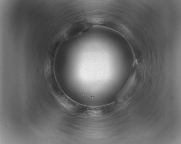 X0000070230552200606091720